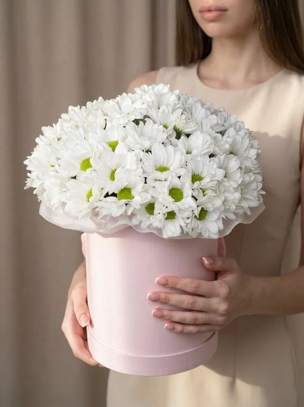 Букет в коробке из ромашковых хризантем «Белая гармония»